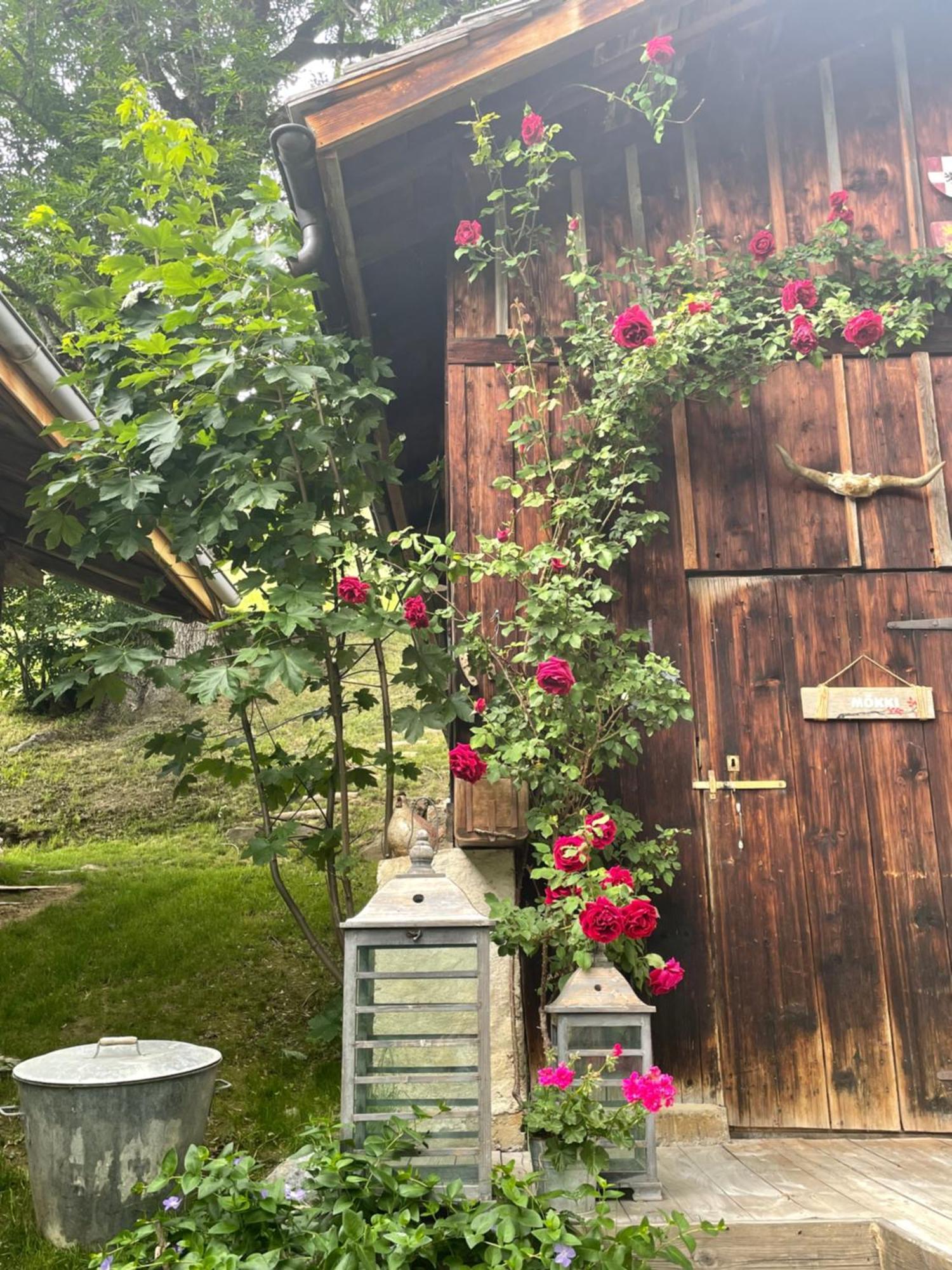 Le Pika Bed & Breakfast Hauteluce Exterior photo
